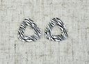 zebre h.webp