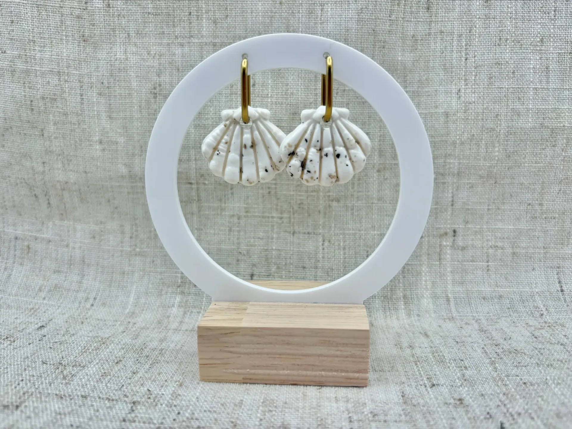Coquillage blanc